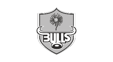 Vodacom Bulls